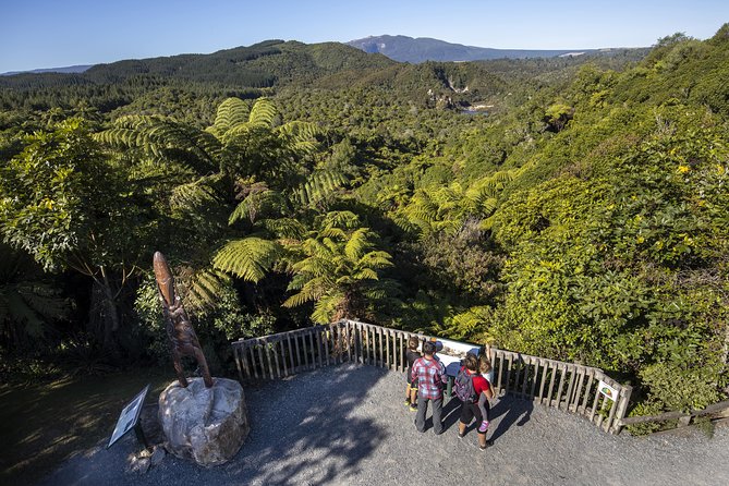 Volcanic Valley Self Guided Walking and Hiking at Waimangu - Pairing ideas: keep it foot-only, or add a lake cruise if it’s running