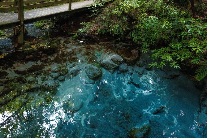 Voyages of Maori at Mitai Maori Village - Who should book this Māori culture tour, and who might want to rethink it