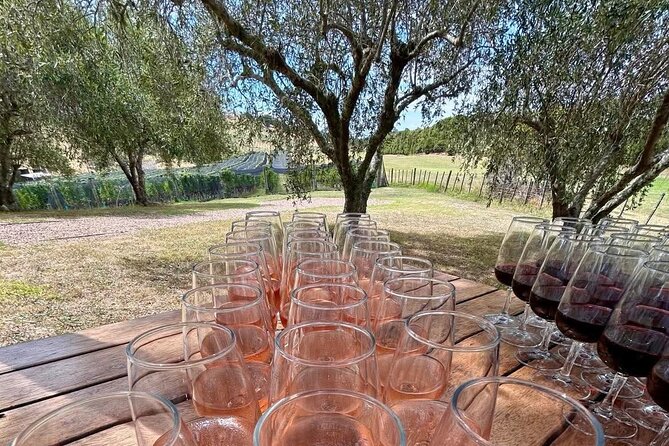 Waiheke Island: Afternoon Wine Affair with Ocean Front Lunch - Batch Winery on Waiheke’s high point, views included