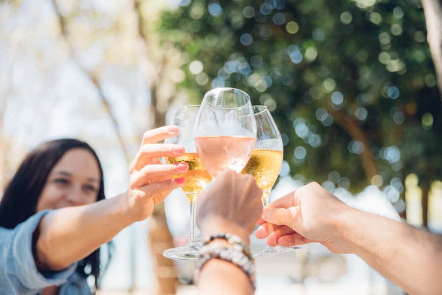 Waiheke Island: Afternoon Wine Tour with Oceanfront Lunch - Meet Your Guide at the Terminal, Then Learn the Island Properly