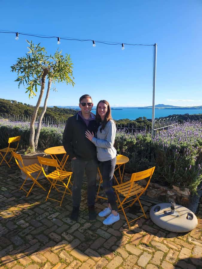 Waiheke Island: Afternoon Wine Tour with Oceanfront Lunch - Booking Bottom Line: Should You Book This Afternoon Wine Tour?