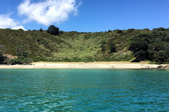 Waiheke Island Bush & Beach Walk - Waiheke in 5 hours, without the full-island headache