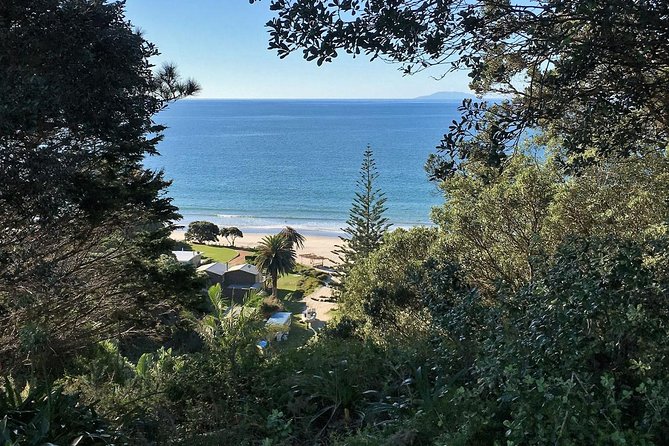 Waiheke Island Bush & Beach Walk - Price and value: what $260.64 buys you on Waiheke