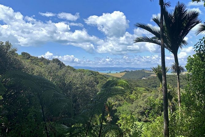 Waiheke Island Bush & Beach Walk - What to pack: the “all weather” kit that keeps the day pleasant