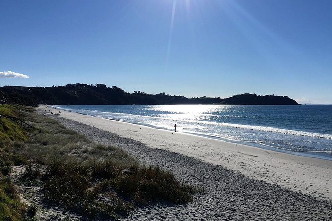 Waiheke Island Bush & Beach Walk - Maria or Justin, and what good customer service looks like