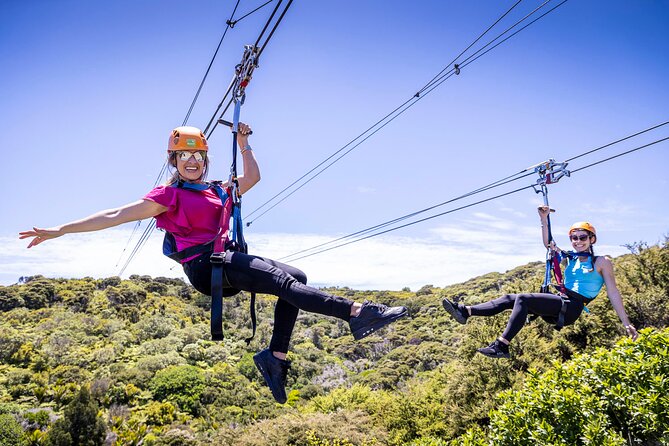 Waiheke Island Day Tour: Ziplining, Wine Tasting & Vineyard Lunch - Key highlights worth planning around