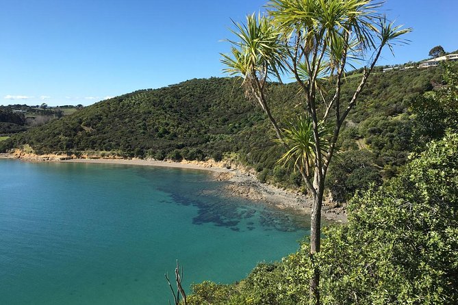 Waiheke Island Double Headland Coastal Walk - Who should book the Waiheke Double Headland Coastal Walk
