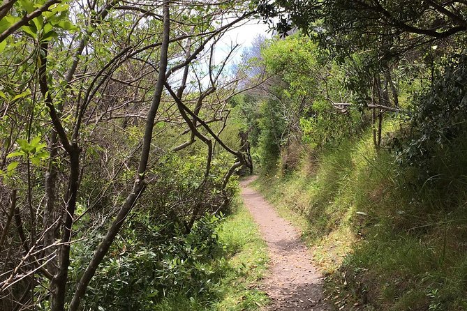 Waiheke Island Double Headland Coastal Walk - Oneroa village lunch: where the day slows down for good