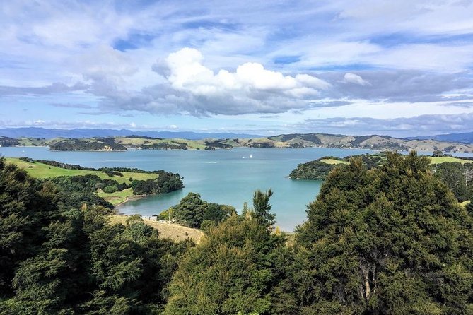 Waiheke Island Experience Tour - Waiheke by 4WD: a day that actually moves