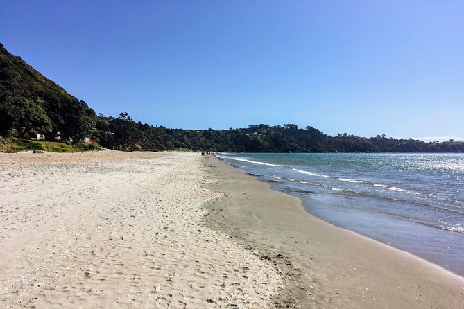 Waiheke Island Experience Tour - The scenic drive via Oneroa and Palm Beach