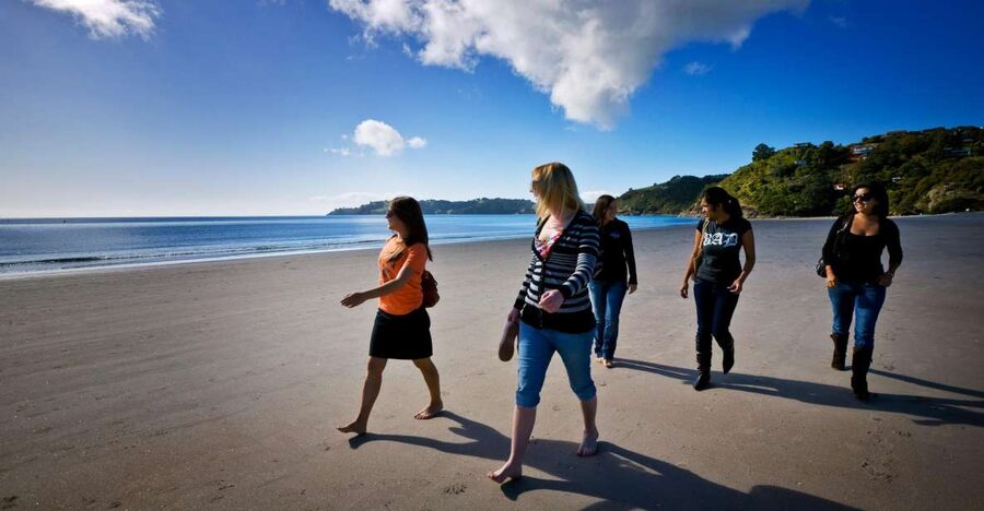 Waiheke Island: Ferry & Hop-On Hop-Off Explorer Bus Tickets - Timing, Weather, and Common Mistakes That Cost You Fun