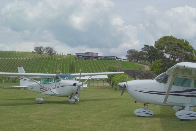 Waiheke Island - Fly and Dine (from North Shore Airport) - Price reality check: $421.37 and what makes it feel fair