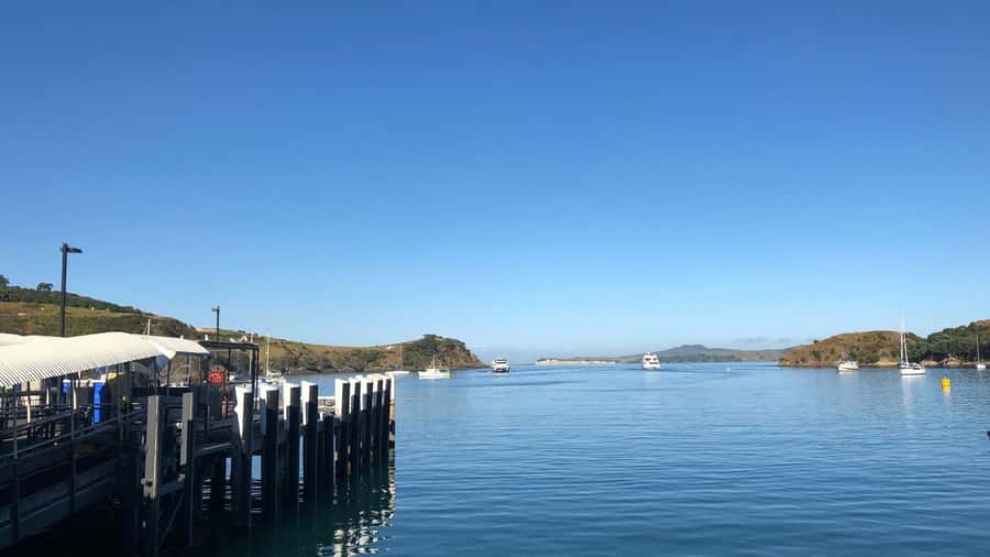 Waiheke Island Gourmet Food and Wine Tour with Lunch - Boutique vineyard tastings: why the format works on Waiheke