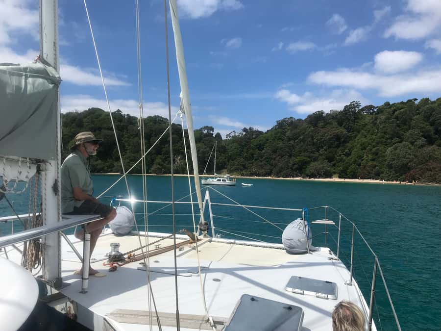 Waiheke Island: Gulf Marine Park Sailing Adventure & Lunch - Waiheke’s outer Gulf sailing day: why it’s a standout style of trip