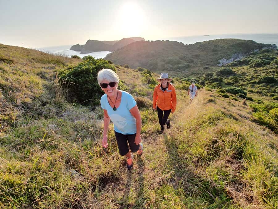 Waiheke Island: Gulf Marine Park Sailing Adventure & Lunch - The pest-free island walk: a short land break with big meaning