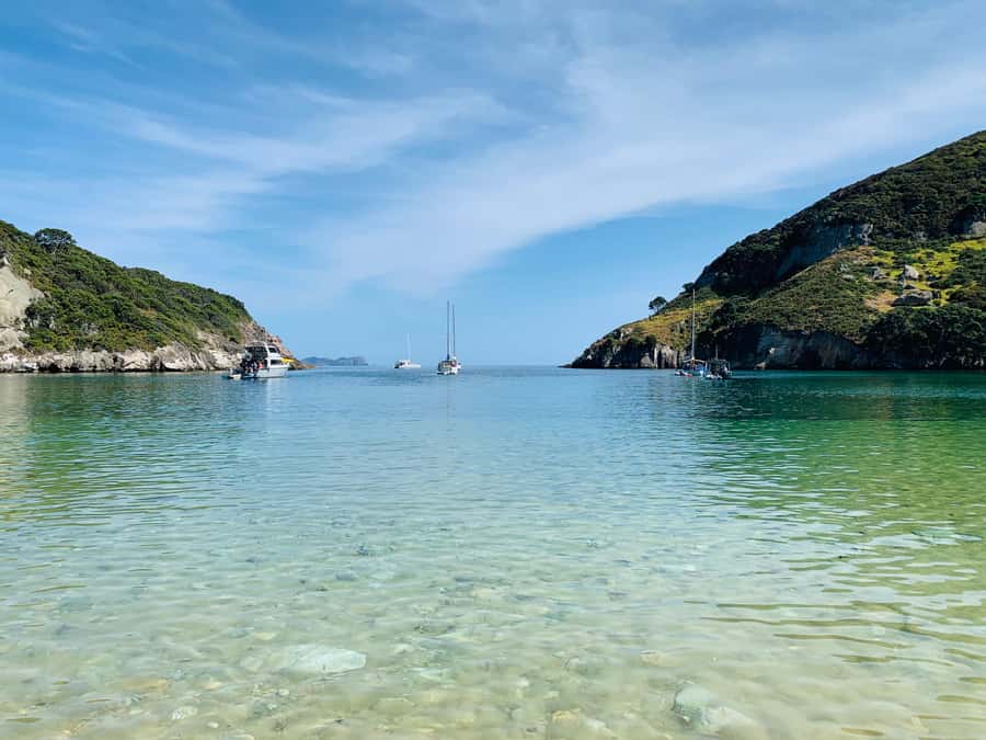 Waiheke Island: Gulf Marine Park Sailing Adventure & Lunch - Swim, snorkel, and paddle: the water time that makes it feel like an adventure