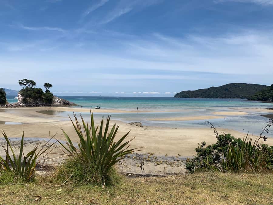 Waiheke Island: Gulf Marine Park Sailing Adventure & Lunch - Price and value: what $388 buys you, and what to factor in
