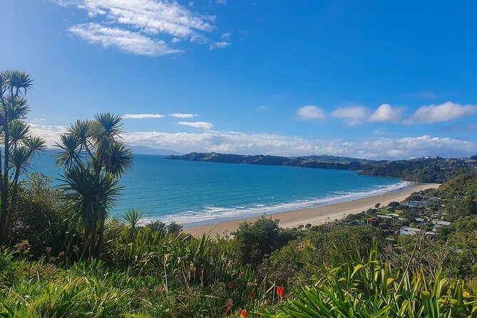 Waiheke Island Half Day Scenic Wine and Lunch - A half-day on Waiheke that feels scenic, not rushed