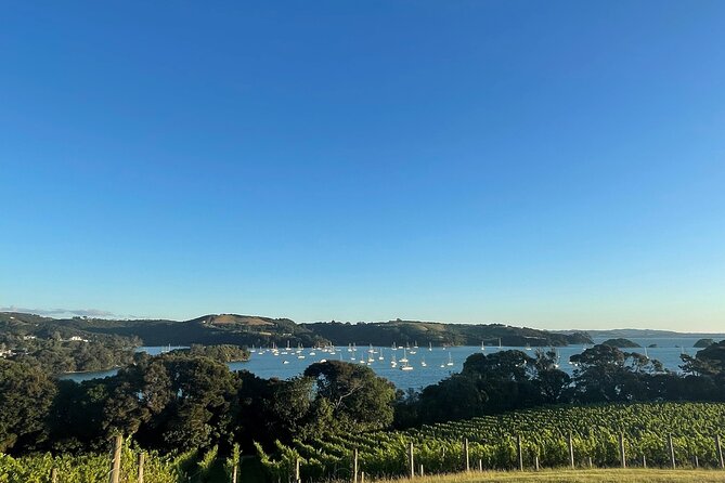 Waiheke Island Half Day Scenic Wine and Lunch - Goldie Estate or Stonyridge, lunch included and the day’s payoff