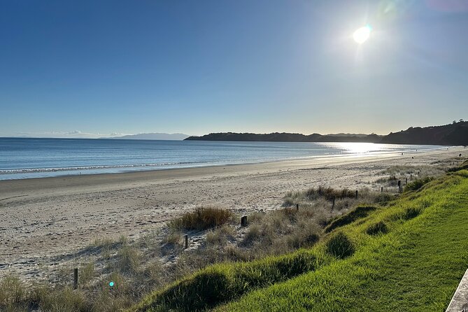 Waiheke Island Half Day Scenic Wine and Lunch - Oneroa village time: art, shops, and a bay-view breather