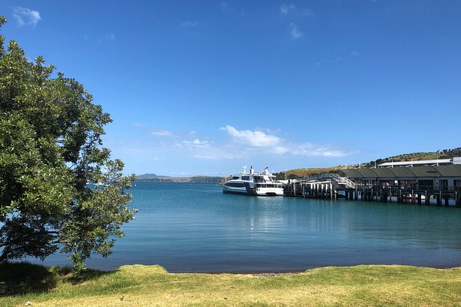 Waiheke Island Half Day Scenic Wine and Lunch - The final Hauraki Gulf vineyard viewpoint and your dinner choice