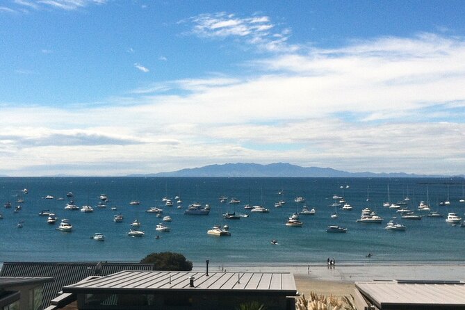 Waiheke Island Half Day Scenic Wine and Lunch - Guides really shape the island story, not just the schedule