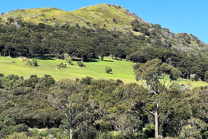 Waiheke Island History and Heritage Tour - Beaches and Sea Views, With Stories Attached
