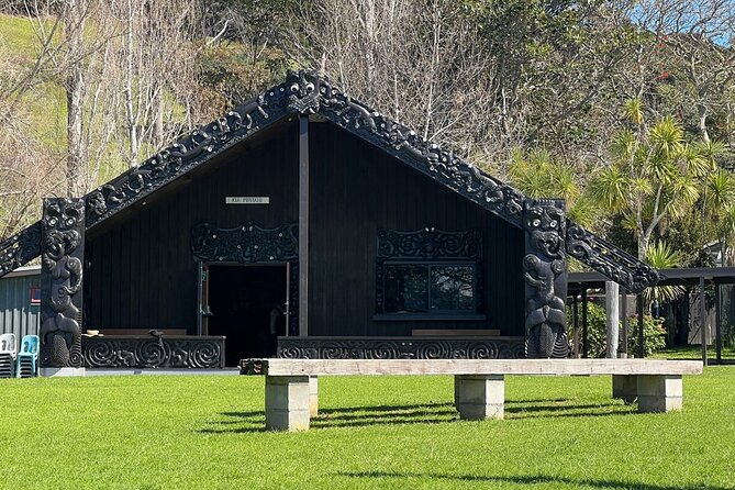 Waiheke Island History and Heritage Tour - Walking Through Native Bush and Plant Knowledge You Can Use