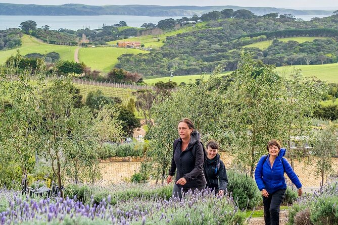 Waiheke Island History and Heritage Tour - Wine and Olive Oil Tastings: Great Extras, Not Part of the Core Price