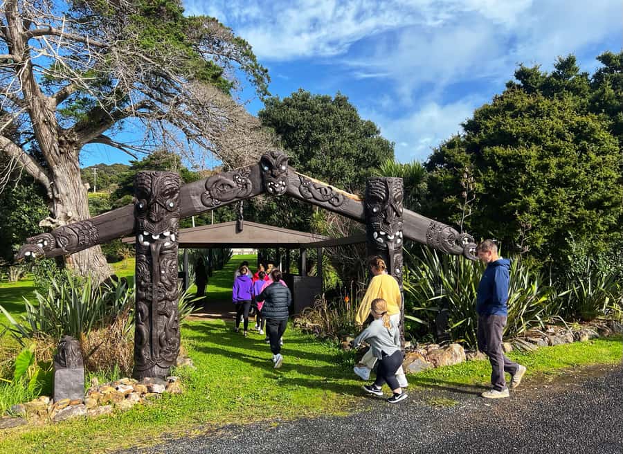 Waiheke Island: Maori Cultural Tour + Lunch + Wine - Batch Winery at the Highest Point: Wine With a View and Plenty of Room for Questions