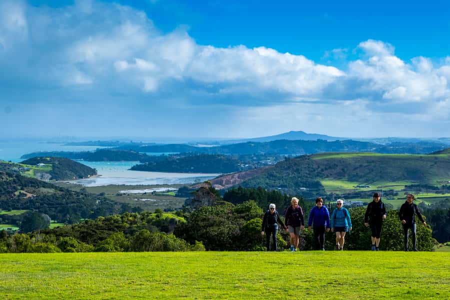 Waiheke Island: Premium Vineyard, Wine Tasting and Bush Walk - Key Highlights You’ll Actually Feel