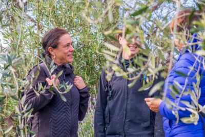 Premium Vineyard, Wine Tasting and Bush Walk