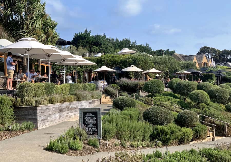 Waiheke Island: Premium Vineyard, Wine Tasting and Bush Walk - Wildlife Chances Over the Hauraki Gulf Views