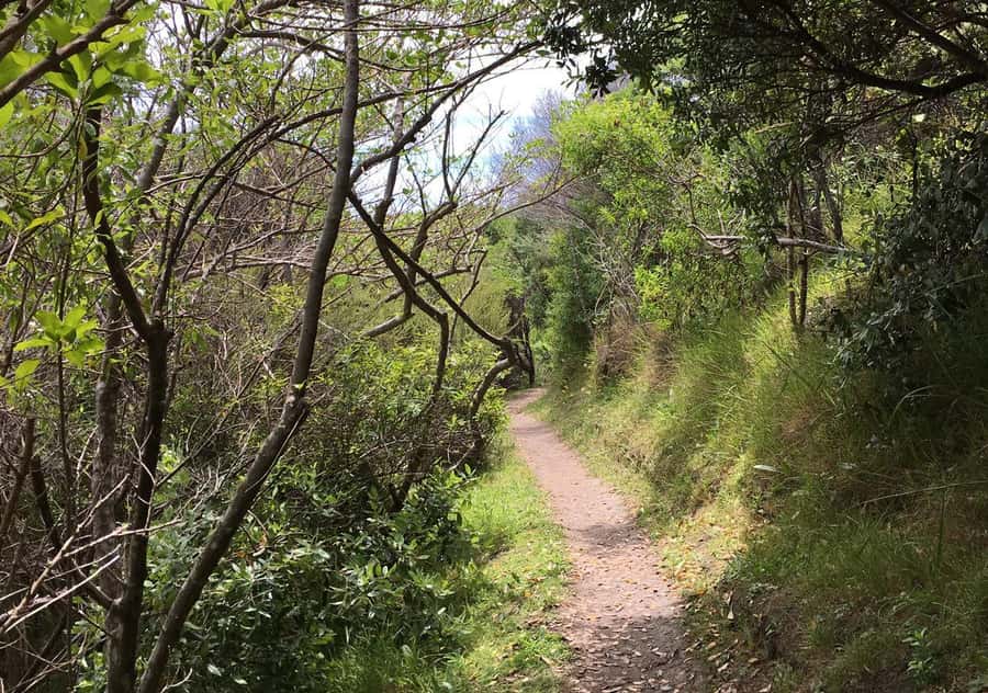 Waiheke Island: Premium Vineyard, Wine Tasting and Bush Walk - Cable Bay Vineyards and the Second Tasting Stop