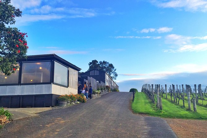 Waiheke Island Premium Wine Tour with Tastings - Key things to notice before you go