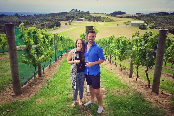 Waiheke Island Premium Wine Tour with Tastings - What the vineyards actually feel like in real life