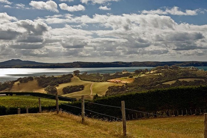 Waiheke Island Private Art Tour - Space Art Gallery in Oneroa: Collective Work With an Artist Nearby