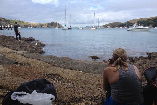 Waiheke Island Private Double Headland Walk - Entering Waiheke at Matiatia, Right Off the Ferry