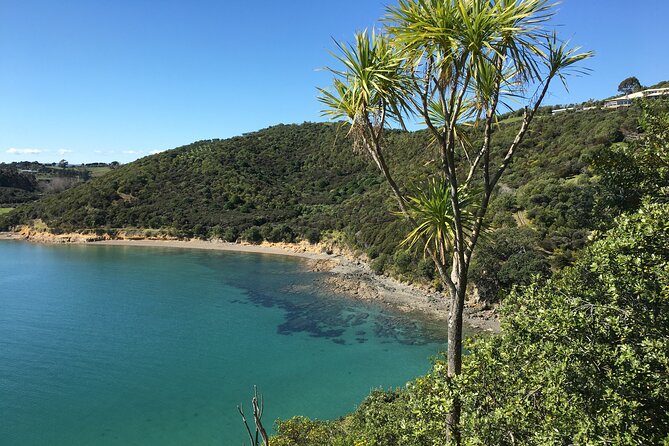 Waiheke Island Private Double Headland Walk - Guides Cindy and Justine: The Difference Between Seeing and Understanding