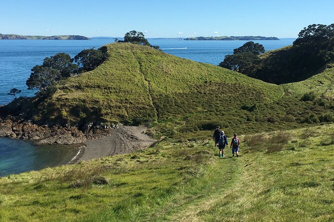 Waiheke Island Private Double Headland Walk - Who Should Book, and Who Might Skip This One