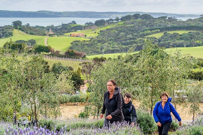 Waiheke Island Private History and Heritage Tour - Native bush walk: medicinal plants and bird spotting