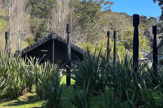 Waiheke Island Private History and Heritage Tour - Getting there: the 9:45 am start and how the day flows