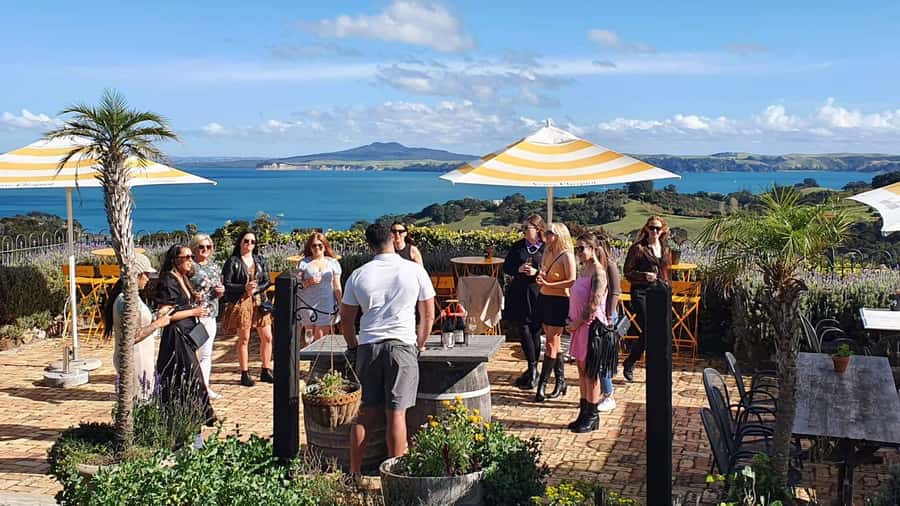 Waiheke Island: Scenic Island Wine Tour & Local Wine Tasting - Key highlights to look for