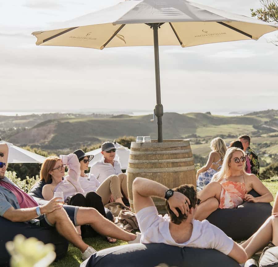 Waiheke Island: Scenic Island Wine Tour & Local Wine Tasting - Waiheke wine country, minus the driving stress