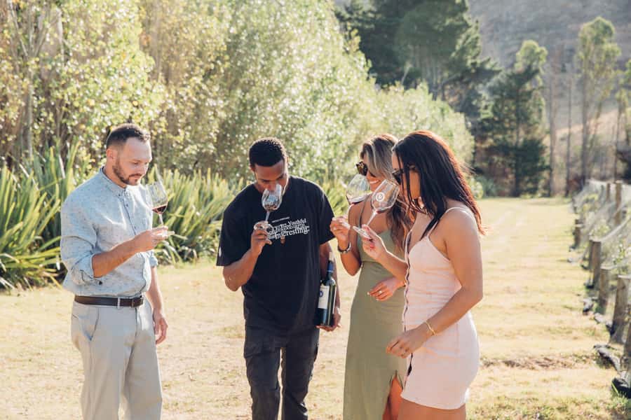 Waiheke Island: Scenic Island Wine Tour & Local Wine Tasting - Meeting at Matiatia Wharf, then getting your bearings fast