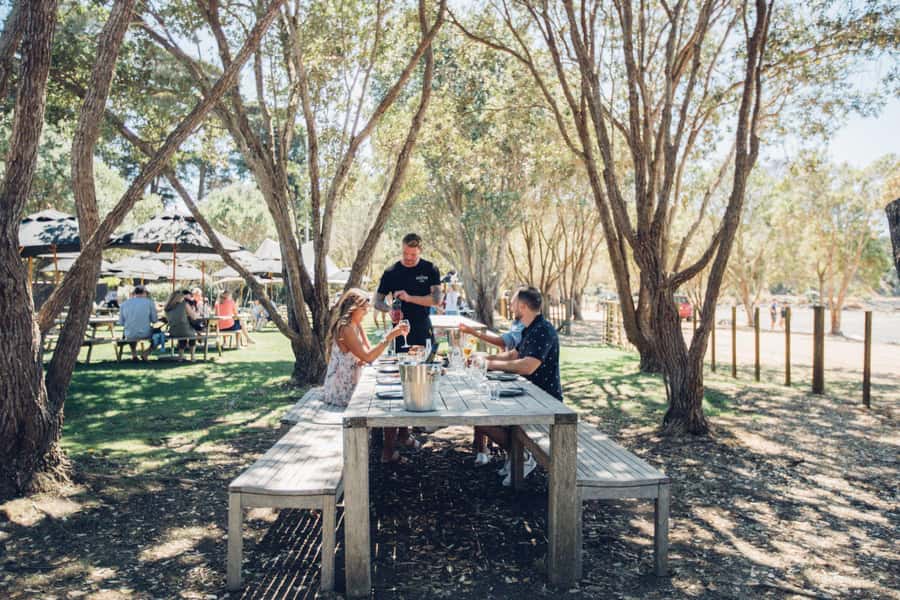 Waiheke Island: Scenic Island Wine Tour & Local Wine Tasting - Other Waiheke wineries you may taste, and why variety is worth it