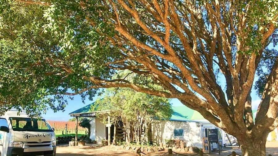 Waiheke Island: The Essence of Waiheke Wine Tour - Lunch at Three Seven Two on Onetangi Beach, the Real Payoff