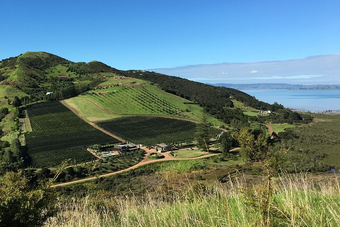 Waiheke Island Vineyards and Bush Walk - Key Highlights I’d Put on Your Radar