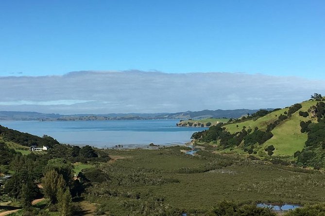 Waiheke Island Vineyards and Bush Walk - Why the Guide Matters: Spotting Wildlife and Reading the Island