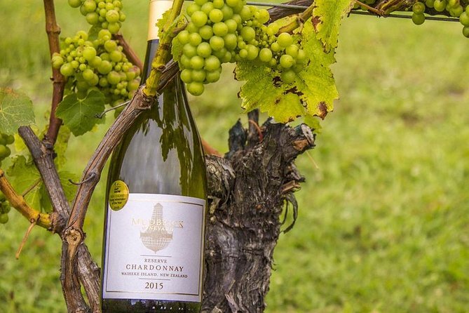 Waiheke Island Vineyards and Bush Walk - The Real Value of the $279.26 Price (and What It Does Not Cover)